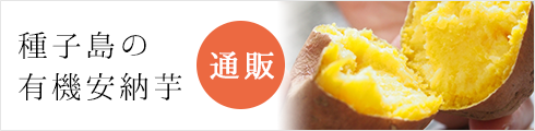 種子島の有機案の芋 通販